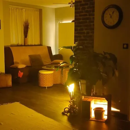 Le Moutarde T3-57m², Terrasse, Tout Confort... Διαμέρισμα Ντιζόν